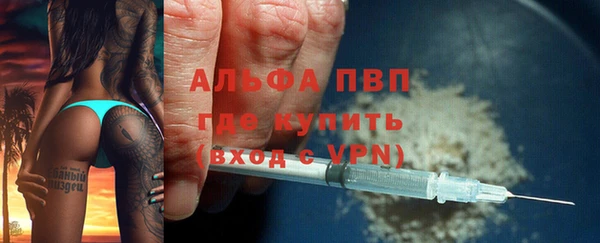 дмт Гусев