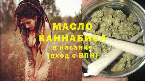 дмт Гусев