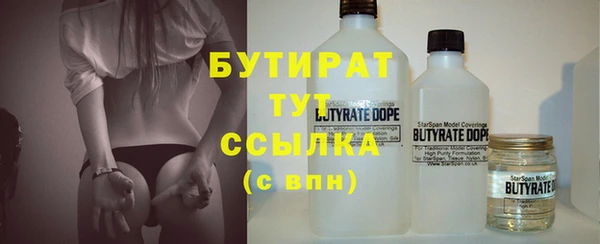 дмт Гусев