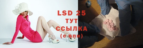 дмт Гусев