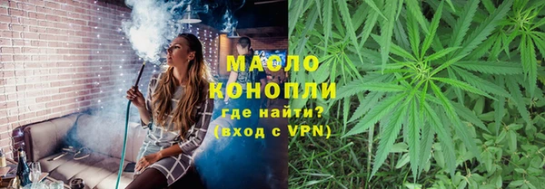дмт Гусев