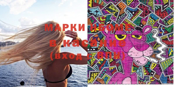дмт Гусев