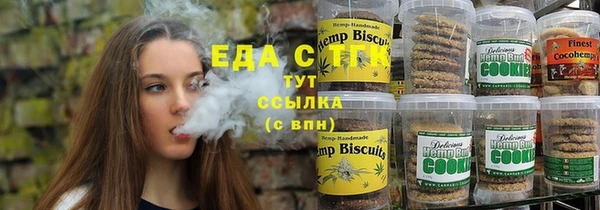 дмт Гусев