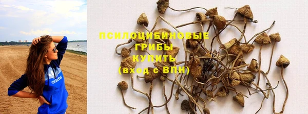 марки nbome Гусиноозёрск