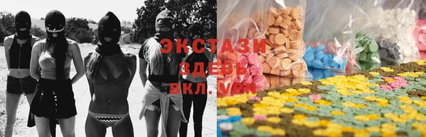 дмт Гусев